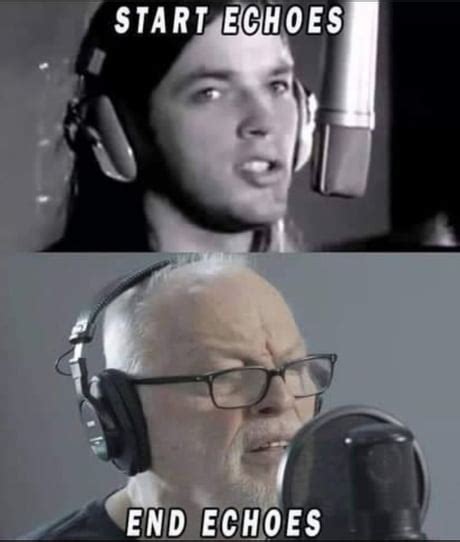 david gilmour memes|funny gilmour memes.